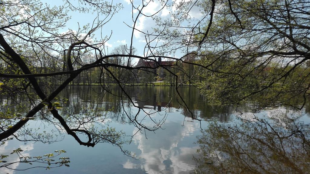 Stara Kamienica Centrum Mrągowo Extérieur photo